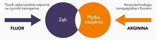 Jak neutralizowane są cukry w jamie ustnej? Jak neutralizowane są cukry w jamie ustnej?
