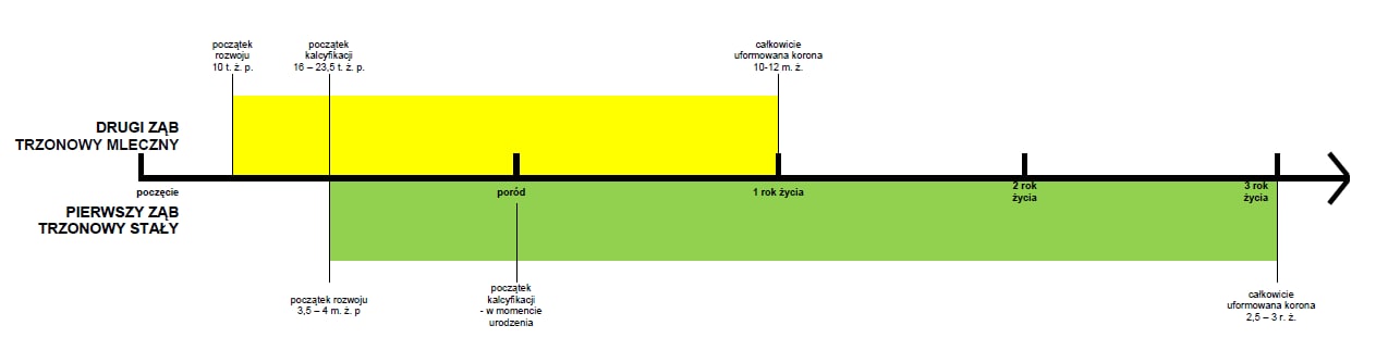 image3.jpg